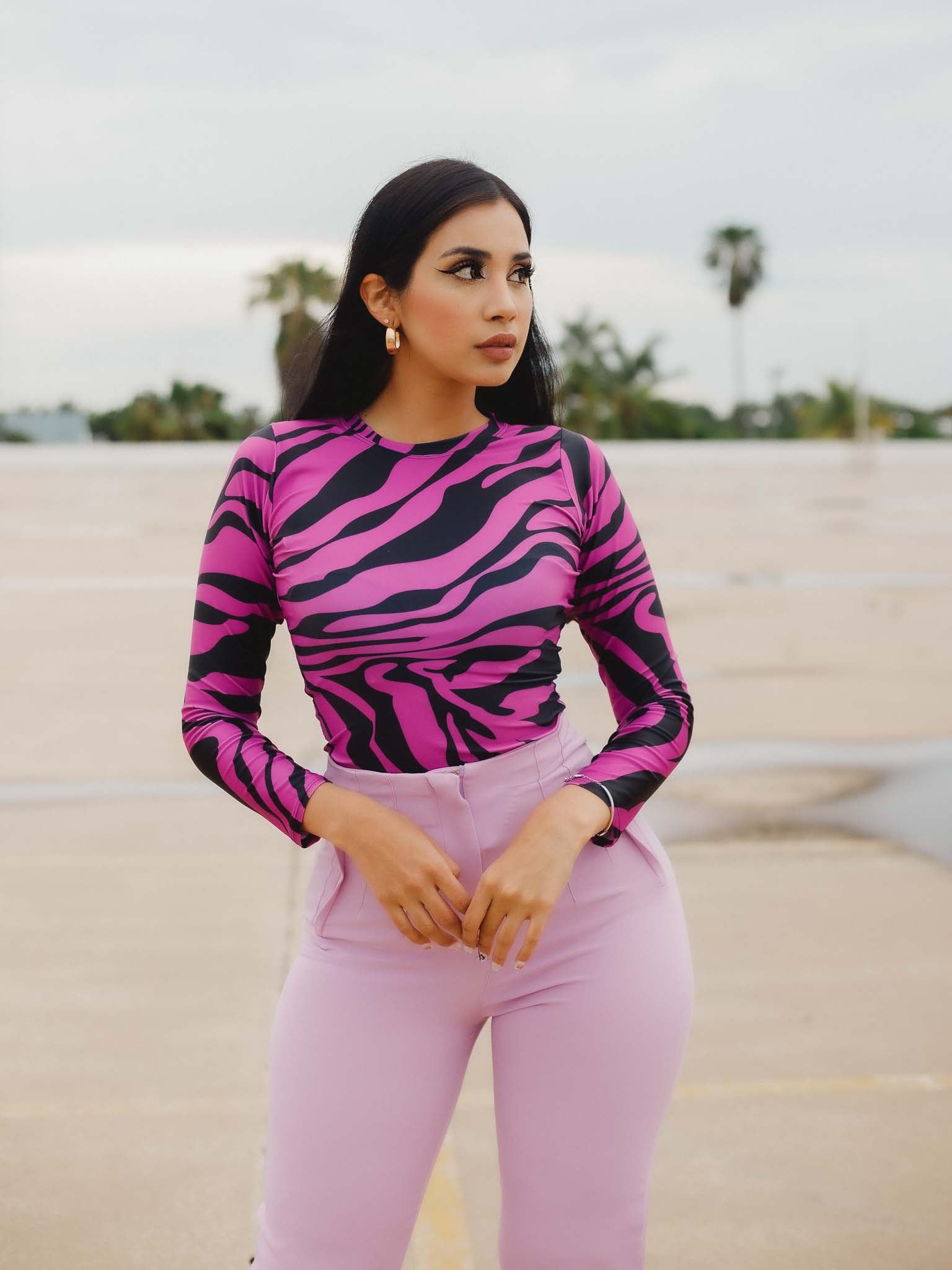 Pantiblusa cebra