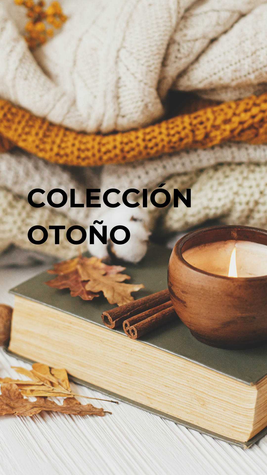 Coleccion_otono.png